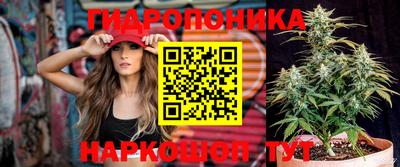 прущие грибы Пенза