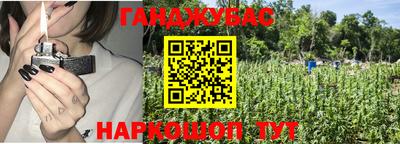прущие грибы Пенза
