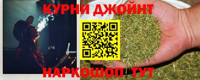 прущие грибы Пенза