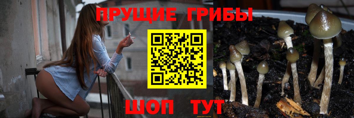 Псилоцибиновые грибы ЛСД  Вход с VPN  где можно купить наркотик  Галлюциногенные грибы Psilocybine cubensis  Чебоксары 